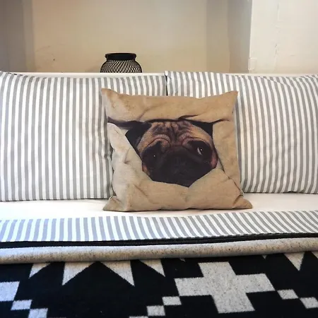 Pug Holiday home Alacati