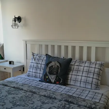 Pug Holiday home Alacati