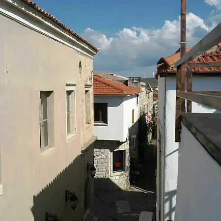 Pug Alacati